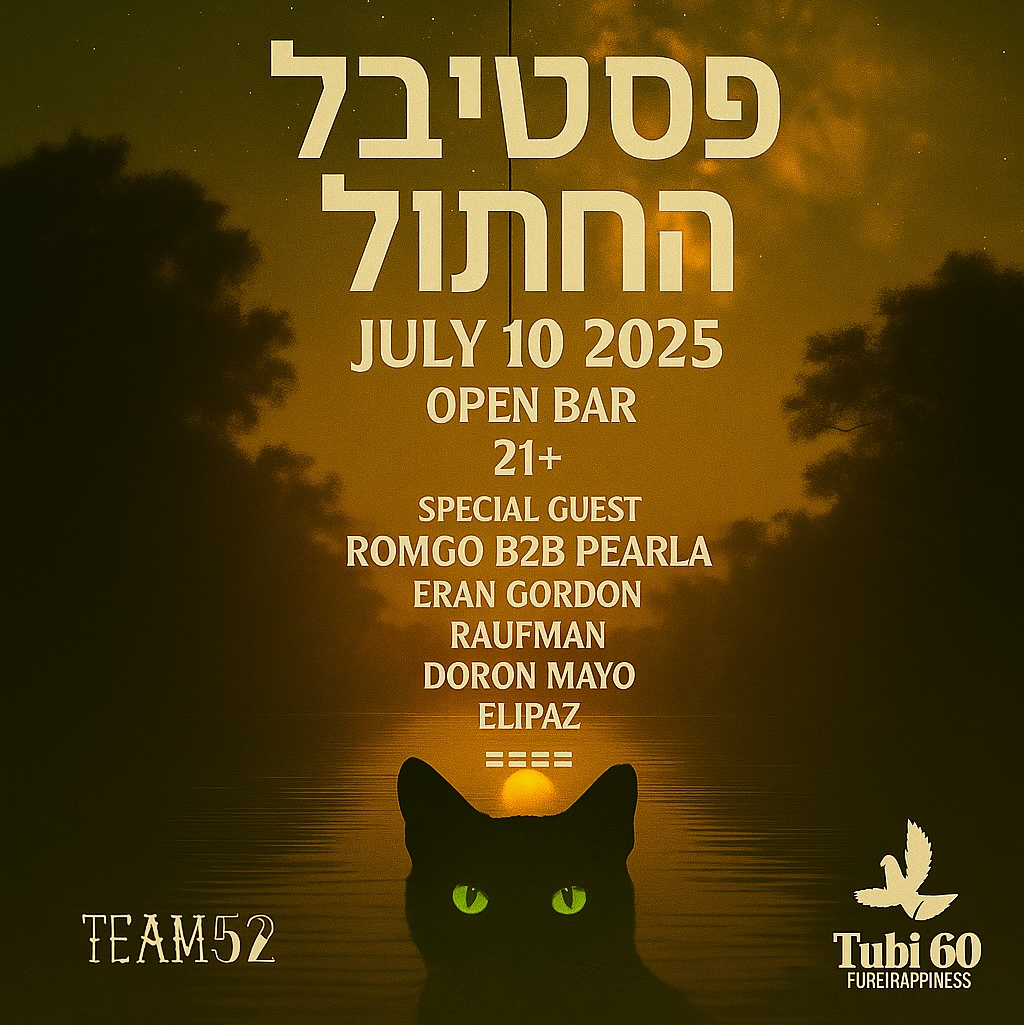 פסטיבל החתול