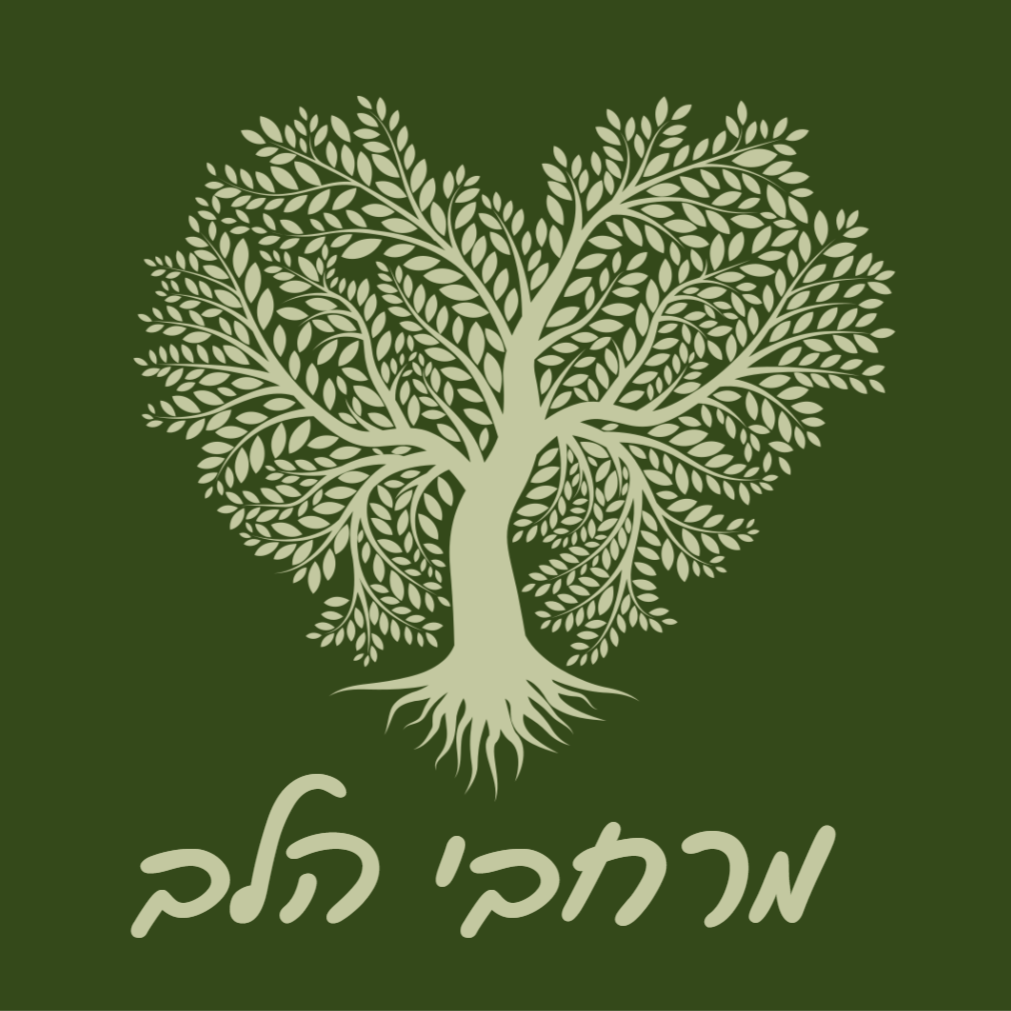 מפגש קהילה - מרחבי הלב