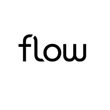 Flow experience -